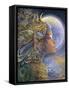 Diana-Josephine Wall-Framed Stretched Canvas