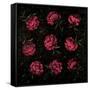 Canvas Black