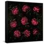 Canvas Black