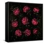 Canvas Black
