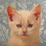 White Kitten-Diane Hoeptner-Art Print