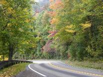 Fall Foliage on Newfound Gap Road, Great Smoky Mountains, Tennessee, USA-Diane Johnson-Photographic Print