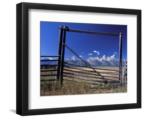 Premium Photographic Print, , large