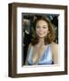 Diane Lane-null-Framed Photo