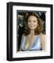 Diane Lane-null-Framed Photo