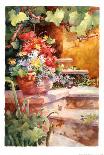 Steps of Provence-Diane Maxey-Framed Art Print