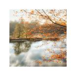 Morning Mirror 1-Diane Poinski-Giclee Print