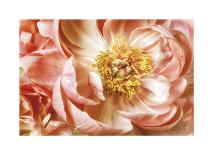 Pink Magnolia-Diane Poinski-Framed Giclee Print