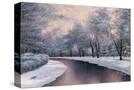Stretched Canvas