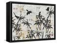 Canvas Black