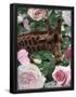 Essential Black
