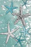 Starfish Bubbles-Diane Stimson-Art Print