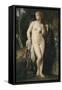 Diane-Jules Elie Delaunay-Framed Stretched Canvas