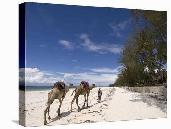 Diani Beach, Near Mombasa, Kenya, East Africa, Africa-Pitamitz Sergio-Stretched Canvas