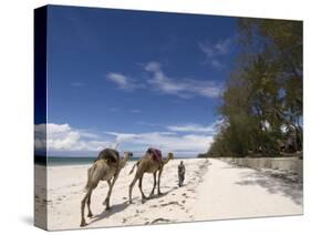 Diani Beach, Near Mombasa, Kenya, East Africa, Africa-Pitamitz Sergio-Stretched Canvas