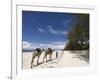 Diani Beach, Near Mombasa, Kenya, East Africa, Africa-Pitamitz Sergio-Framed Photographic Print