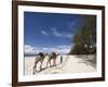 Diani Beach, Near Mombasa, Kenya, East Africa, Africa-Pitamitz Sergio-Framed Photographic Print