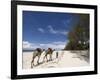 Diani Beach, Near Mombasa, Kenya, East Africa, Africa-Pitamitz Sergio-Framed Photographic Print