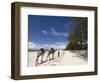 Diani Beach, Near Mombasa, Kenya, East Africa, Africa-Pitamitz Sergio-Framed Photographic Print