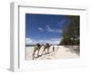 Diani Beach, Near Mombasa, Kenya, East Africa, Africa-Pitamitz Sergio-Framed Photographic Print