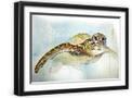 Black Frame