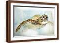 Brown Frame