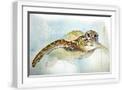 White Frame