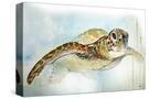Stretched Canvas