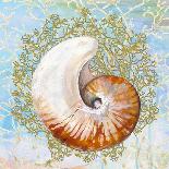 Shell Medley IV-Diannart-Art Print