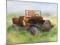 Wood Mount