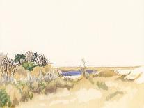 Solitary Coastline III-Dianne Miller-Art Print
