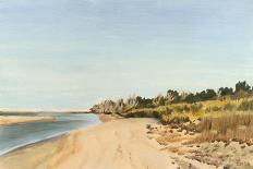 Solitary Coastline III-Dianne Miller-Art Print