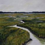 Marshes II-Diantha York-ripley-Stretched Canvas