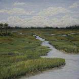 Marshes II-Diantha York-ripley-Framed Stretched Canvas