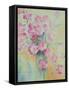 Dianthus Doris-Karen Armitage-Framed Stretched Canvas