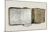 Diary Kept by William Clark of the Lewis and Clark Expedition, c.1804-1806-null-Mounted Giclee Print
