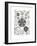 Diatomea, 1899-1904-null-Framed Giclee Print