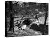 Dibbinsdale Bridge-null-Stretched Canvas