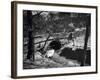 Dibbinsdale Bridge-null-Framed Photographic Print