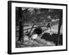 Dibbinsdale Bridge-null-Framed Photographic Print