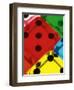 Dice-Rudi Von Briel-Framed Photographic Print