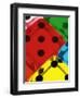 Dice-Rudi Von Briel-Framed Photographic Print