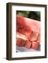 Diced Watermelon-Foodcollection-Framed Photographic Print