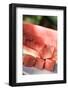 Diced Watermelon-Foodcollection-Framed Photographic Print