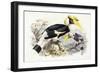 Dichocerus Bicornis, 1876-1882-Johan Gerard Keulemans-Framed Giclee Print