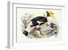 Dichocerus Bicornis, 1876-1882-Johan Gerard Keulemans-Framed Giclee Print