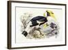 Dichocerus Bicornis, 1876-1882-Johan Gerard Keulemans-Framed Giclee Print