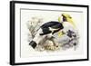 Dichocerus Bicornis, 1876-1882-Johan Gerard Keulemans-Framed Giclee Print