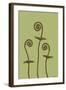 Dichromatic Fiddleheads III-Vanna Lam-Framed Art Print