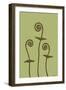 Dichromatic Fiddleheads III-Vanna Lam-Framed Art Print